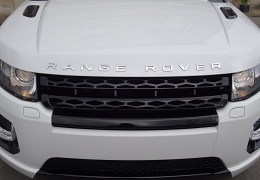 COLOUR CODED YOUR EXISTING FRONT GRILLE £150